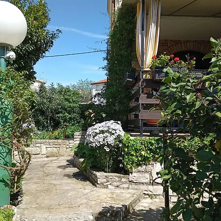 11152a Ližnjan